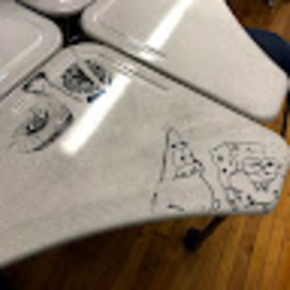 Meet your Posher, Ethan - Picture 1 of 1